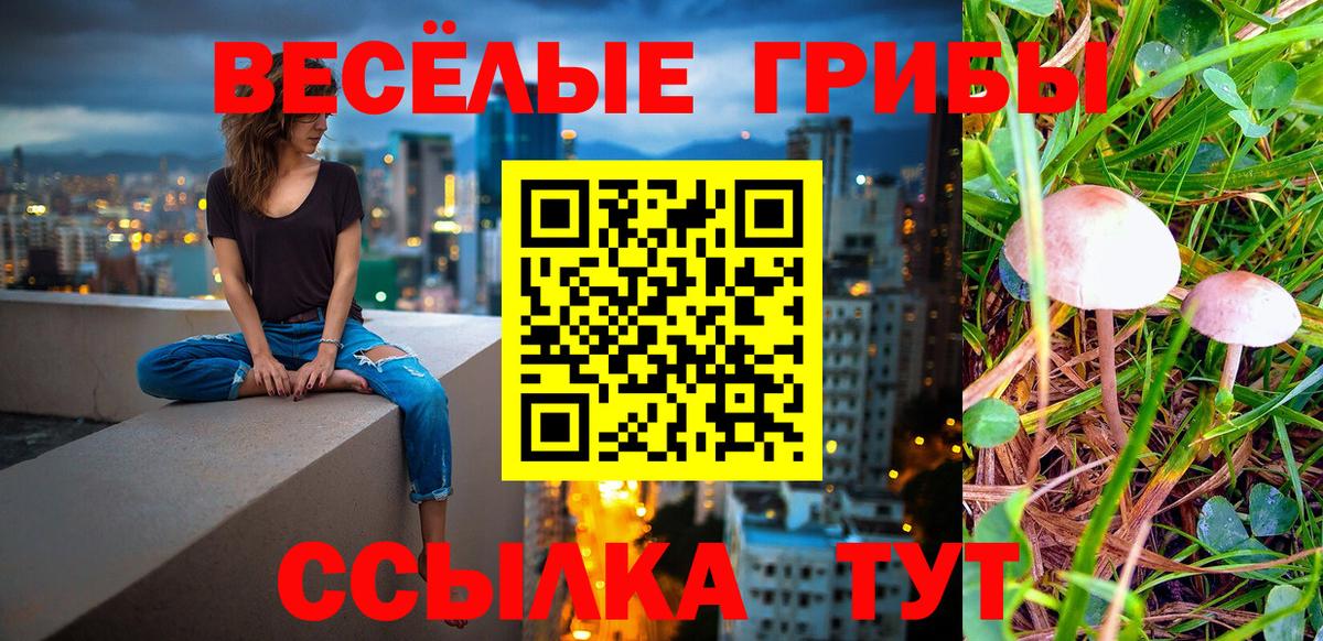 Вичуга  Галлюциногенные грибы Cubensis  Вход с VPN  Галлюциногенные грибы Cubensis 