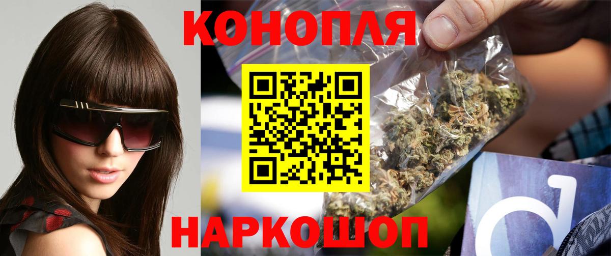 Конопля ГИДРОПОН  Марихуана тримм  Вичуга  Вход с VPN  Конопля Amnesia  Марихуана сатива 